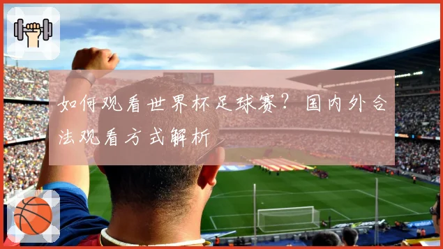 如何观看世界杯足球赛？国内外合法观看方式解析