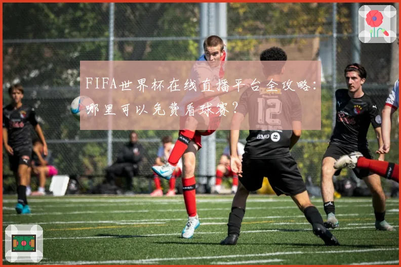 FIFA世界杯在线直播平台全攻略：哪里可以免费看球赛？