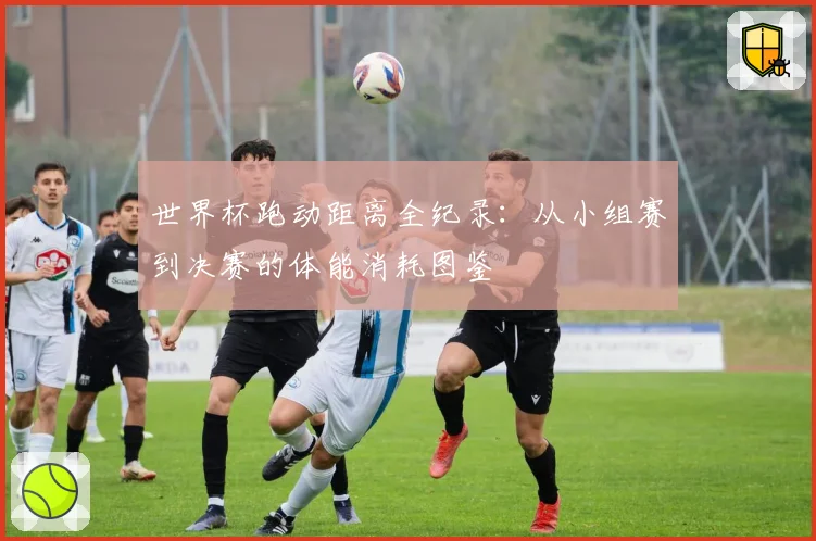 世界杯跑动距离全纪录：从小组赛到决赛的体能消耗图鉴