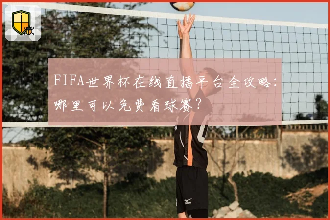 FIFA世界杯在线直播平台全攻略：哪里可以免费看球赛？