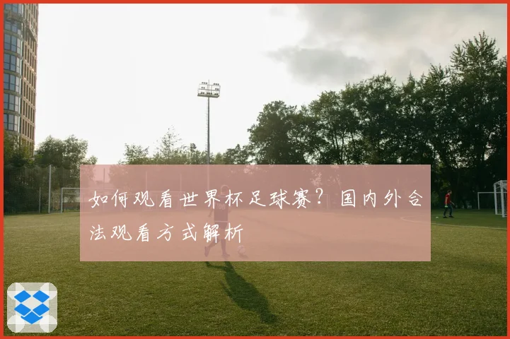 如何观看世界杯足球赛？国内外合法观看方式解析