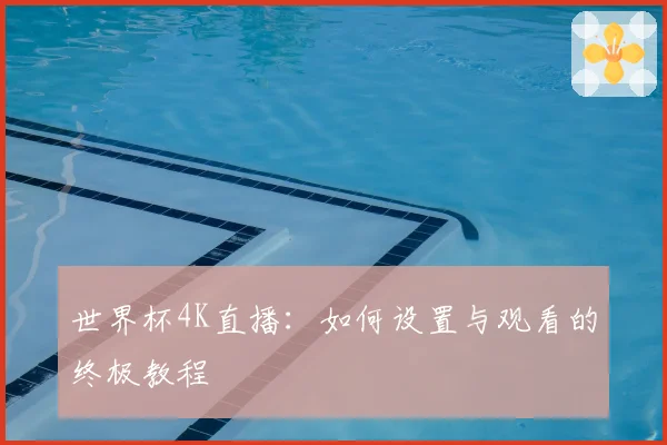 世界杯4K直播：如何设置与观看的终极教程